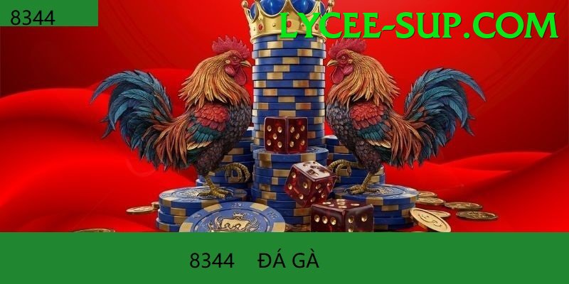 Đá Gà Trực Tiếp - 939bet