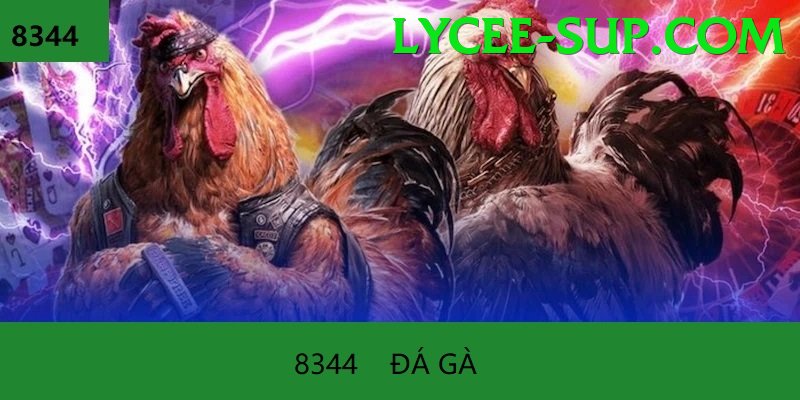 Đá Gà Trực Tiếp - Trải nghiệm tuyệt vời