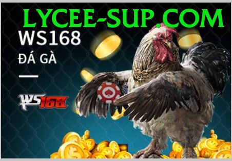 Đá Gà Trực Tiếp - Ưu đãi đặc biệt